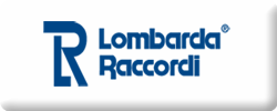 LombardaRaccordi-3D